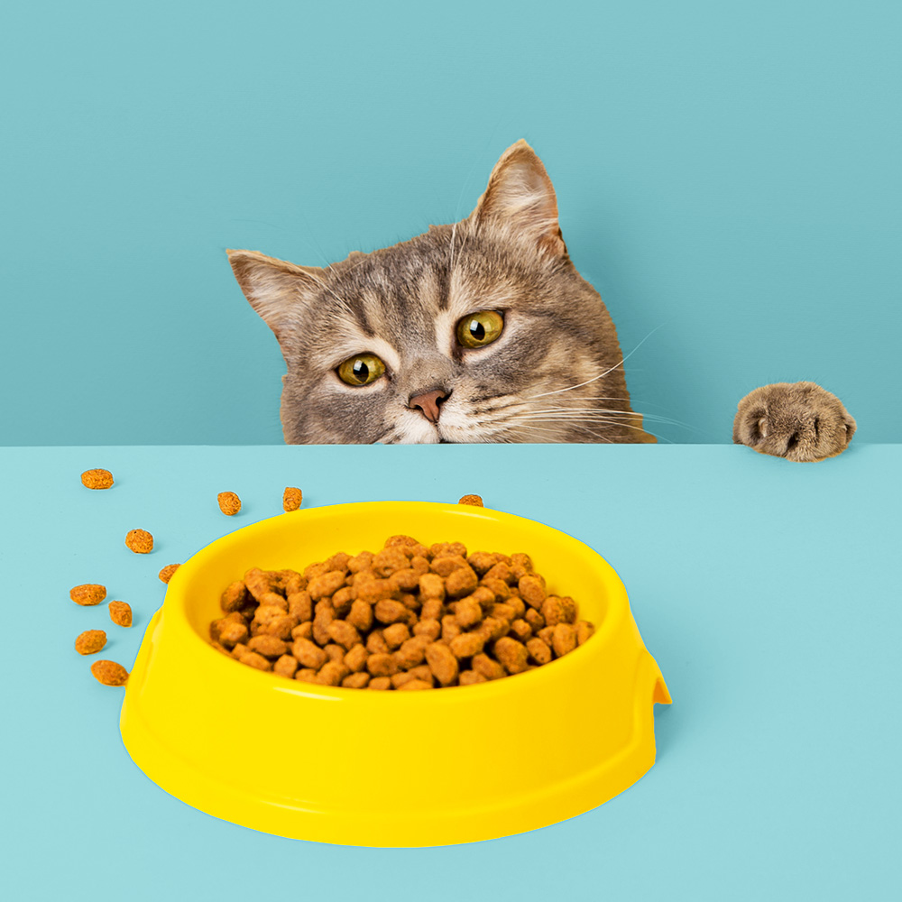 Cat food